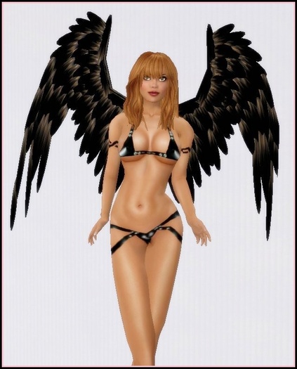 Black & Silver Prim Wings