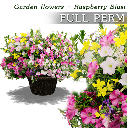 FULL PERM Garden Flowers - Raspberry blust V.2