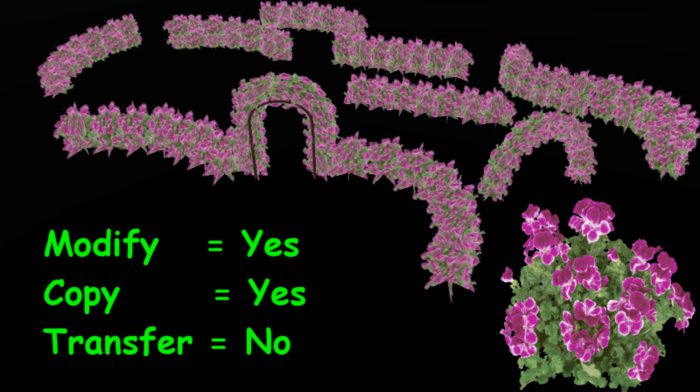 Pelargonium Angleeye hedge Fatpack - 9 different items