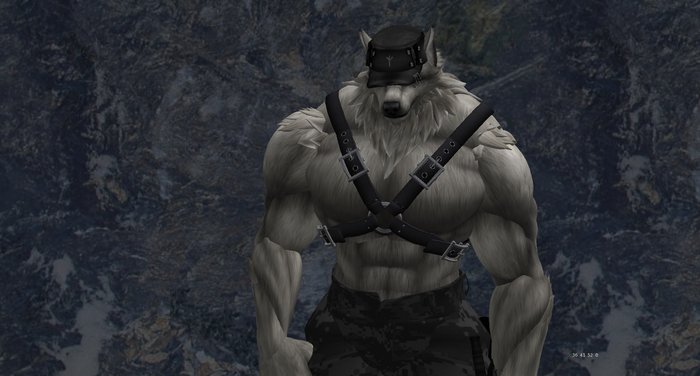 1st Act Werewolf Harness (Steel)