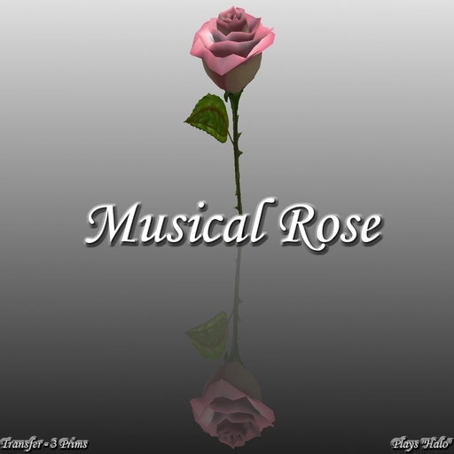Musical Rose - Halo