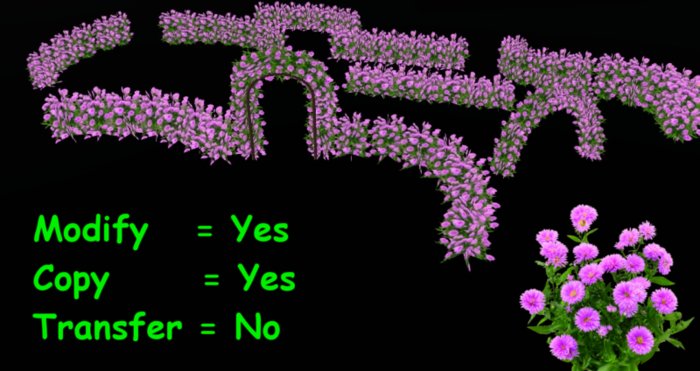 Pink Aster hedge Fatpack pack  - 9 different items