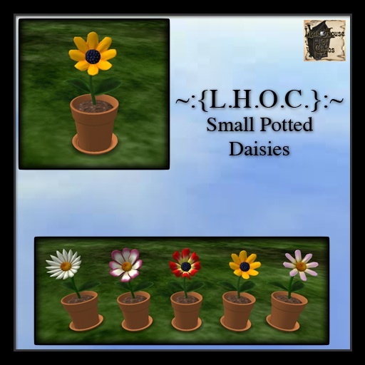 ~:{L.H.O.C.}:~ Potted Daisy 4
