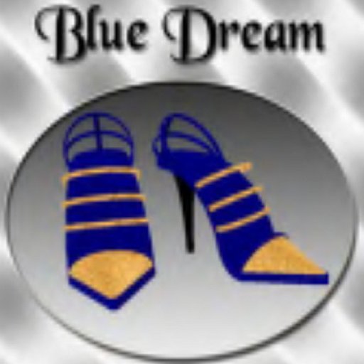 Blue Dream Shoes