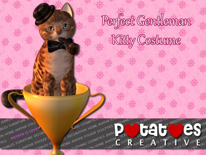 Potatoes Creative - Perfect Gentleman Kitty Costume