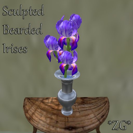 *ZG* Bearded Irises - Violet