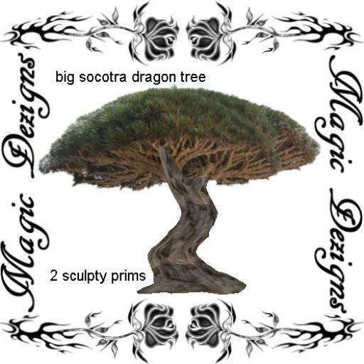 big socotra dragon tree *boxed* copy mod
