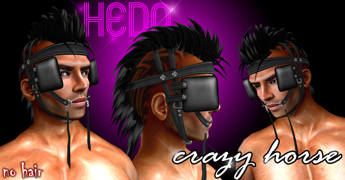 Crazy Horse (boxed)