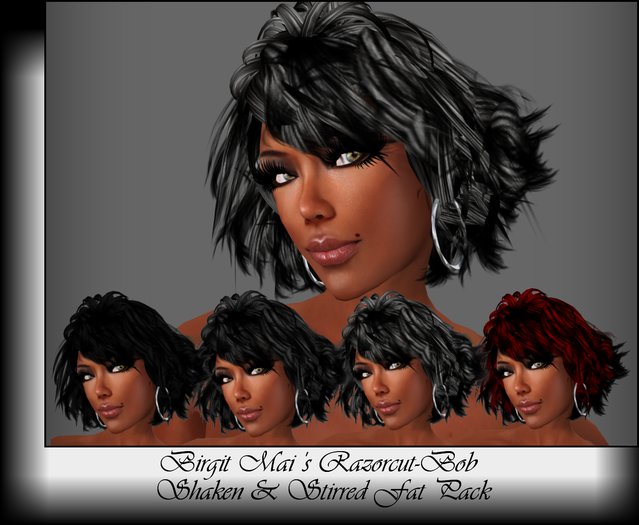 Birgit Mai's Razorcut bob-shaken & stirred Fat Pack (BOXED)