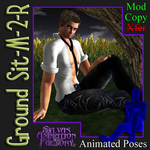 Ground Sit - M-2-R -- Male Ground Sitting Animation (copyable)