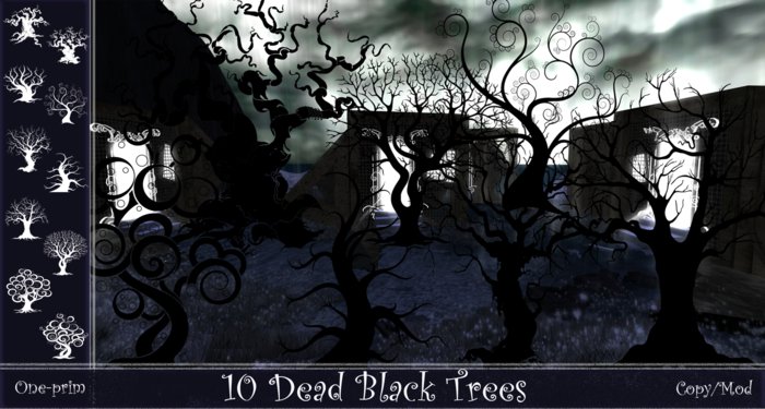Black Dead TreeBranches 10
