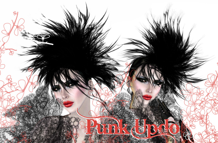 Boudoir Punk Updo!