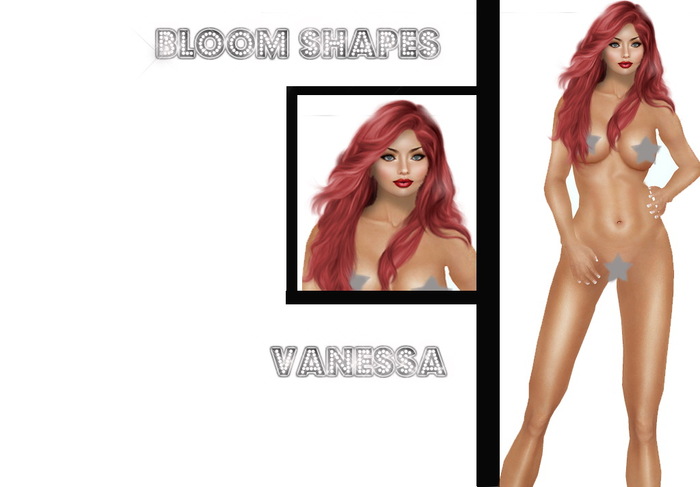 Shape Collection A1 Full Pack FULL PERM 