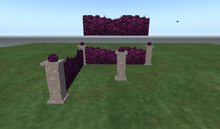 Boxed purple hedge