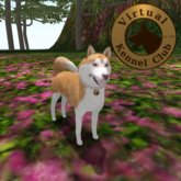 VKC® Copper Siberian Husky - Artificially Intelligent (AI) Trainable Dog - No Food Required - Pathfinding Enabled
