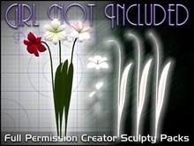 GNI Amaryllis f/p flower pack