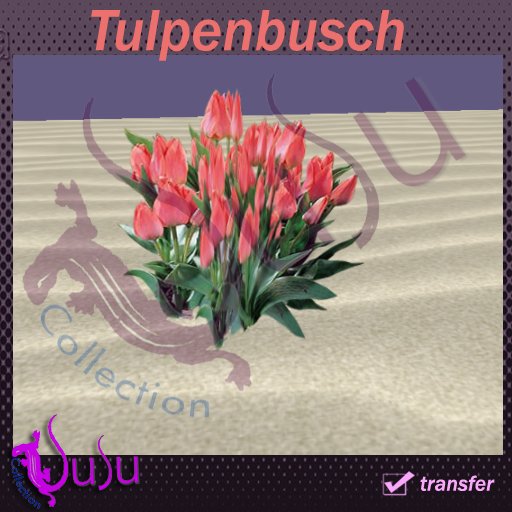 SuSu-tulpenbusch