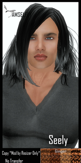 *~*Damselfly*~*Seely Ginger