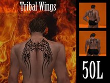 **BH- Tribal Wings Tattoo**
