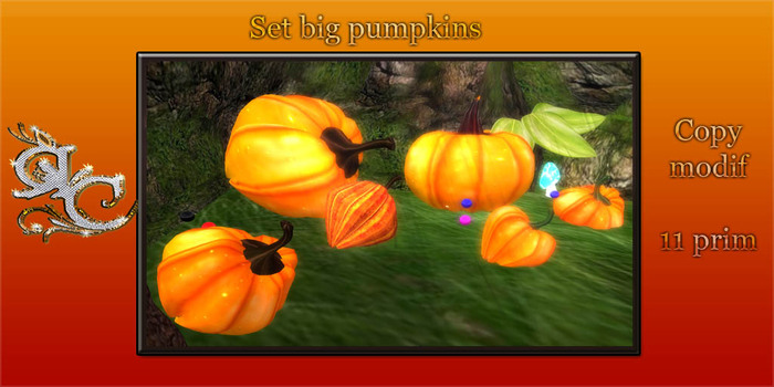 Big pumpkins