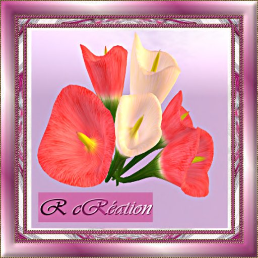 Nasturium Flowers 4