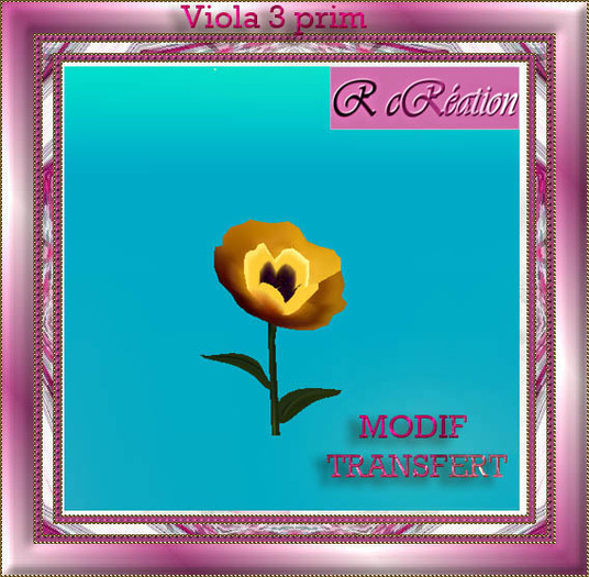 Viola brown orange