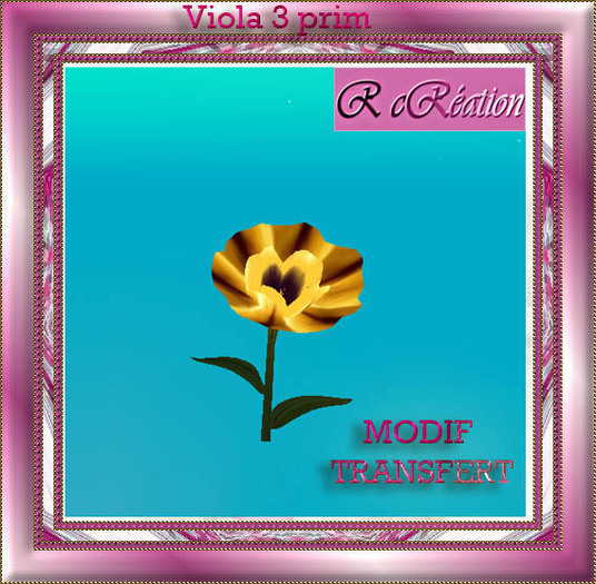 Viola yellow brown