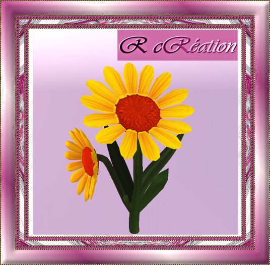 set 2 yellow daisy