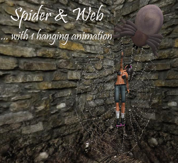 Spider wall hanging ( boxed )