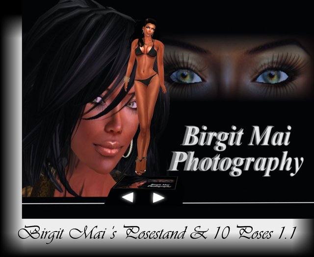 Birgit Mai's Posestand 1.1 (BOXED)