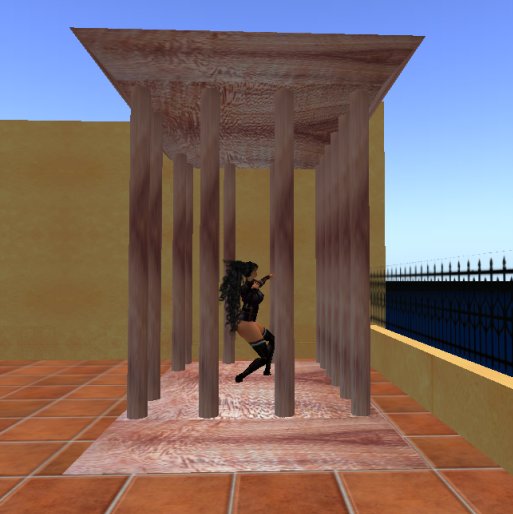 dance cage4 w/scripted dance