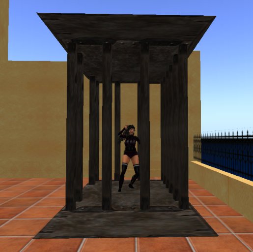 dance cage8 w/scripted dance