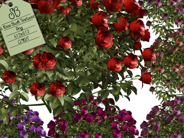 SB ROSE BUSH TEXTURES