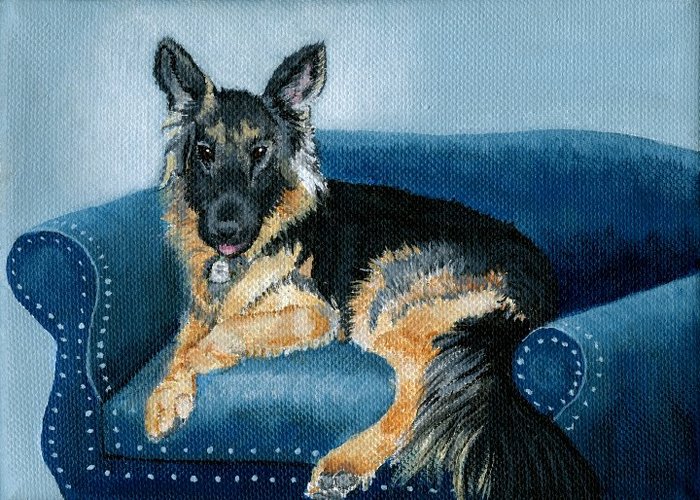 German Shepherd Angus