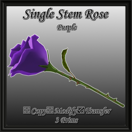 Purple Single Rose 