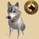 VKC® Silver Siberian Husky - Artificially Intelligent (AI) Trainable Dog - No Food Required - Pathfinding