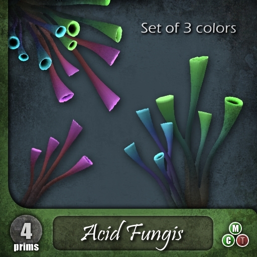 HBLYS_Acid Fungis