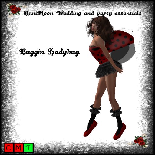 Buggin Ladybug