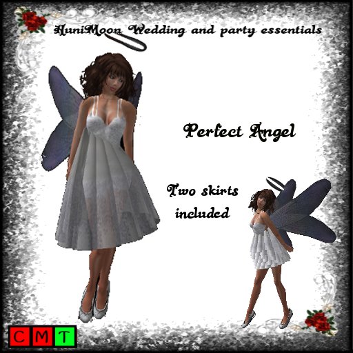 Perfect Angel