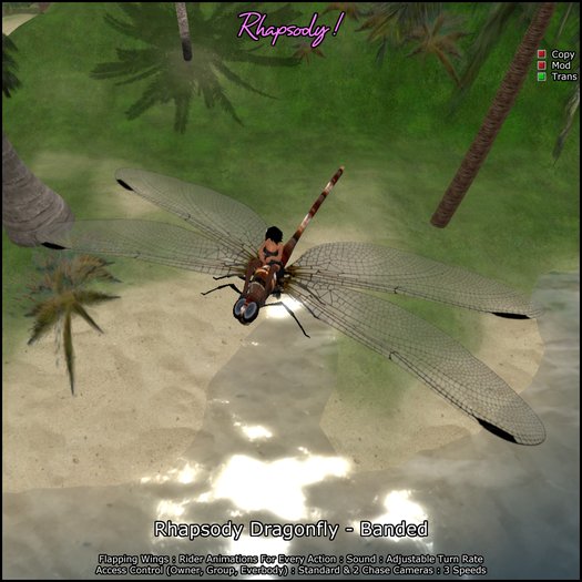 Rhapsody Dragonfly (Banded) Rideable Dragonfly