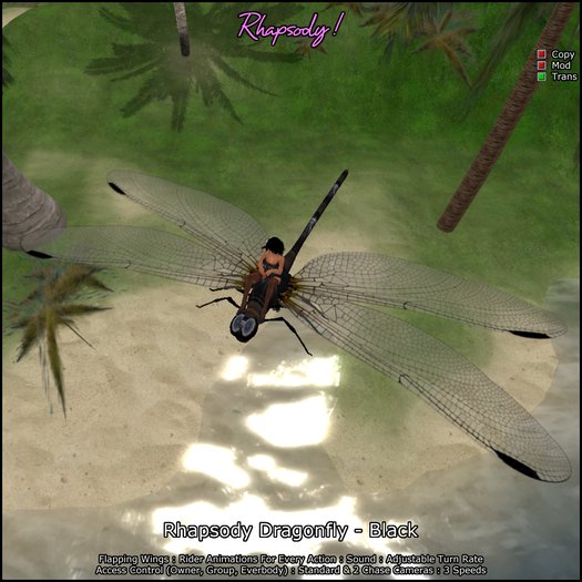 Rhapsody Dragonfly (Black) Rideable Dragonfly