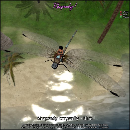 Rhapsody Dragonfly (Blue) Rideable Dragonfly