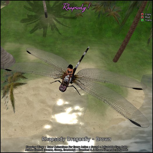 Rhapsody Dragonfly (Brown) Rideable Dragonfly