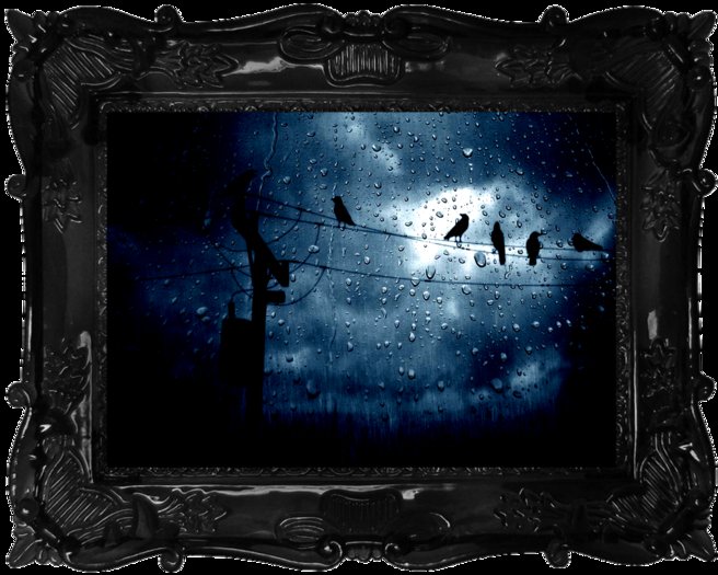 Crow Halloween Picture