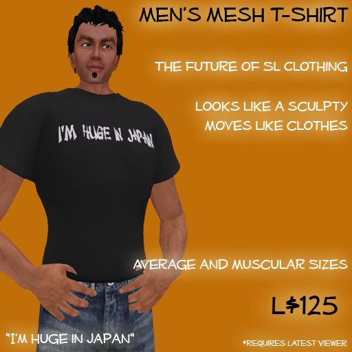 Mesh Japan T-shirts Male