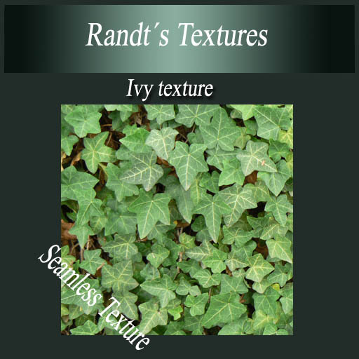  Randt's Ivy Texture