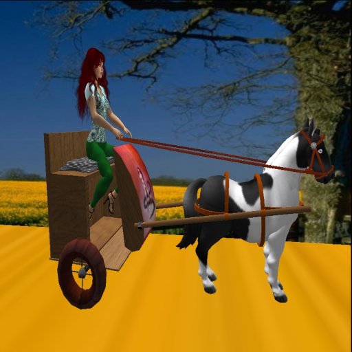 shetland pony cart