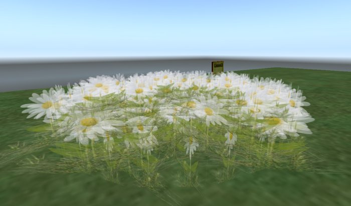 Daisy patch