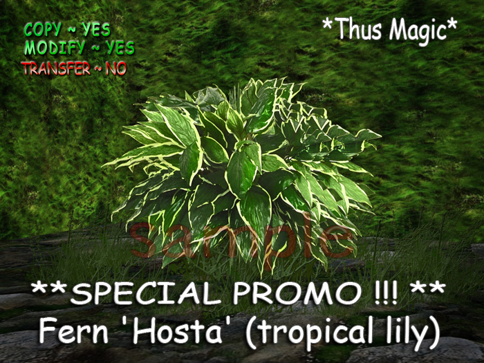 *Thus Magic*~PROMO !!~ Tropical Fern plant 