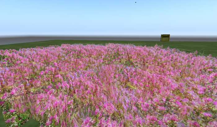 Plant border pink